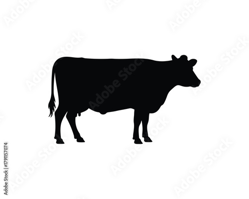 Cow silhouette with udders, side profile view, domestic animal farm.