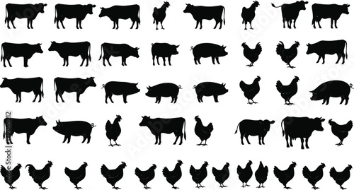 Farm animal silhouettes, cow pig chicken, black icons, vector illustration, livestock set, agriculture concept, animal identification, rural, barnyard, study