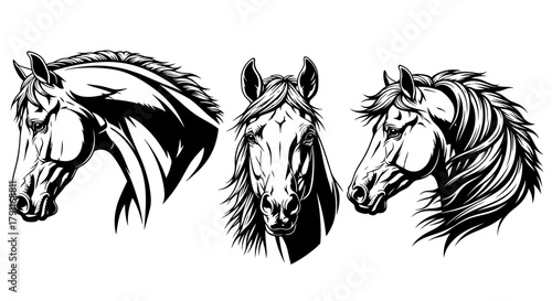 Majestic Horse Head Set with Flowing Mane - Black and White Vector Illustration for Equestrian, Racing, and Farm Mascot