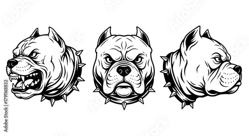Furious Pitbull Dog Head with Spiked Collar Set - Aggressive Canine Mascot Vector Illustration for Security and Biker Design