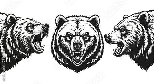 Furious Roaring Grizzly Bear Head Set - Aggressive Wild Animal Mascot Vector Illustration for Sports and Wilderness Logo