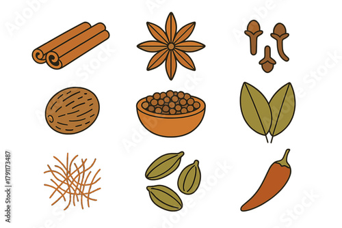 Collection of spices and herbs featuring cinnamon, star anise, nutmeg, and chili in simple illustrations