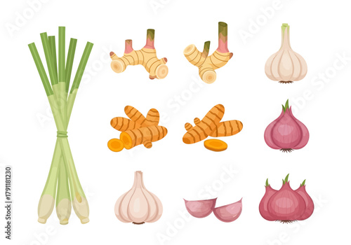 Illustration of Thai aromatic ingredients lemongrass galangal turmeric garlic and shallots