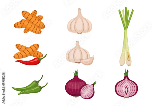Illustrations of turmeric chili peppers garlic lemongrass and red onions