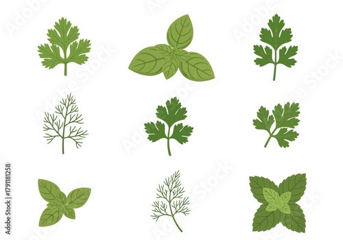 Nine illustrations of various green herbs arranged in a 3x3 grid
