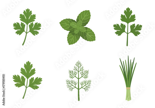 Six illustrations of green herbs arranged in two rows against a white background