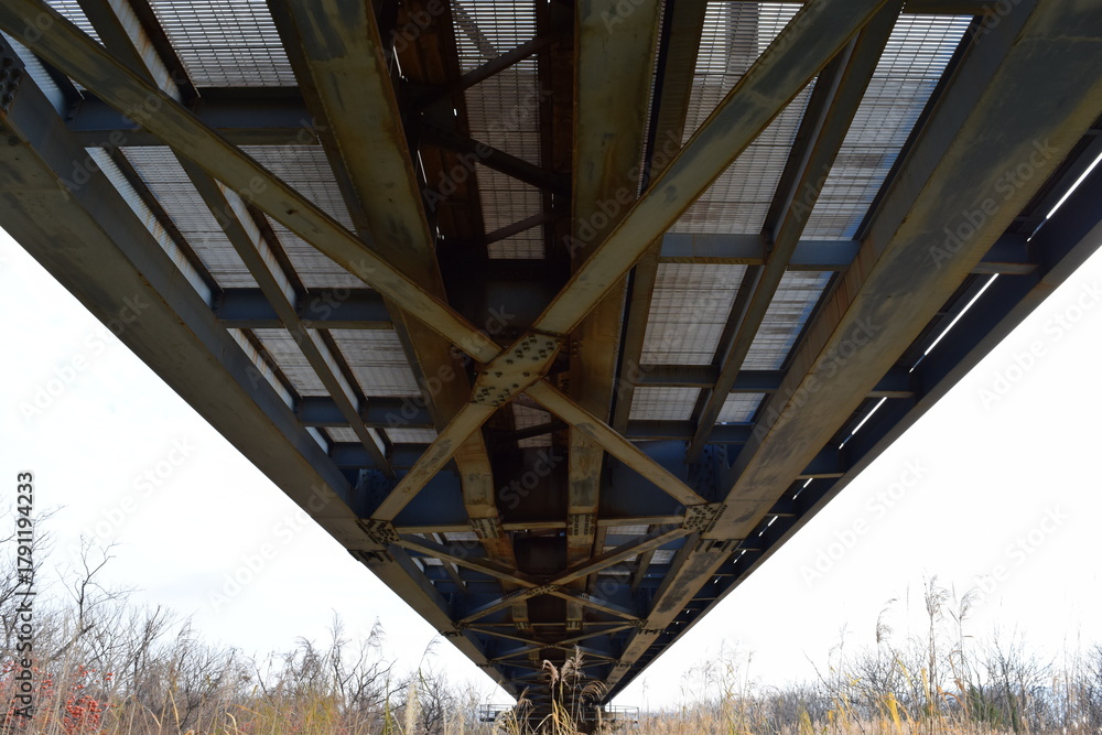 Naklejka premium 鉄橋と鉄道線路