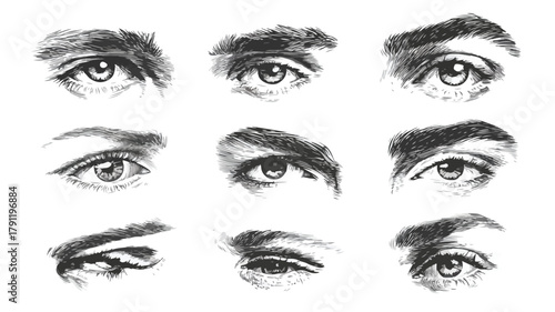 Diverse Male and Female Eyebrows of Various Shapes Vector Illustration