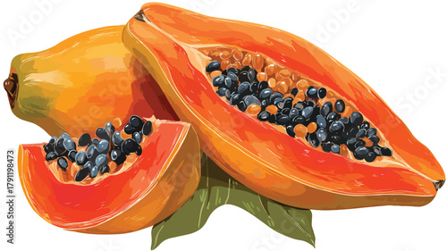 Vibrant Fresh Papaya Fruit Whole and Sliced Vector Illustration