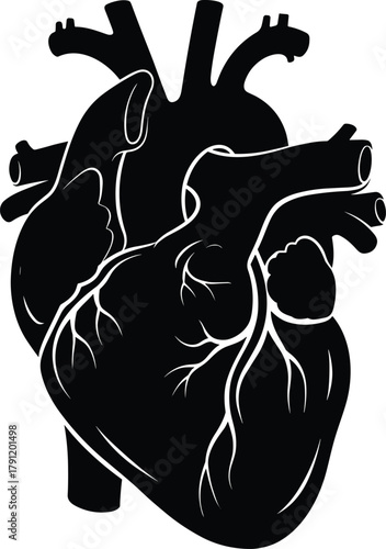 Human heart silhouette, anatomical vector, medical illustration, cardiovascular system icon, black design, biology study, organ structure, health education concept