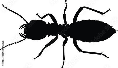 Termite silhouette illustration, insect anatomy vector, pest control icon, black design, entomology study, segmented body, antennae detail, biology concept