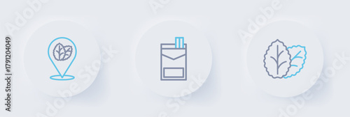 Set line Tobacco leaf, Cigarettes pack box and icon. Vector