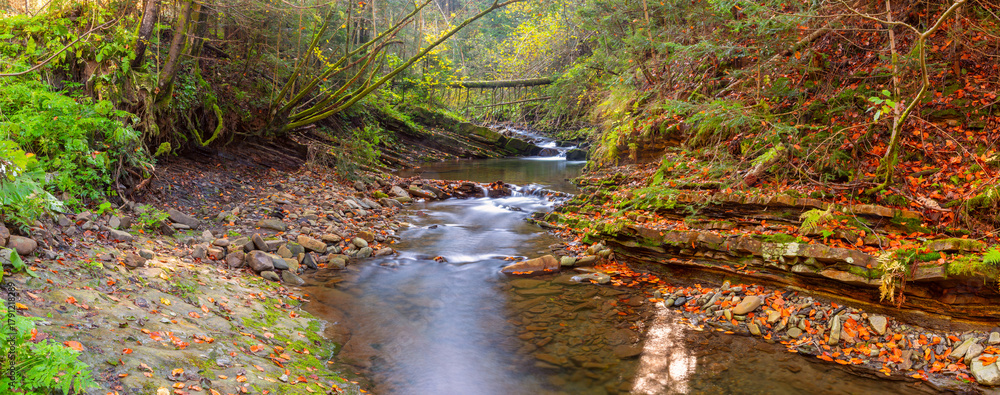 Obraz premium Shallow rocky mountain stream with autumn leaves near Skole town in Lviv region, Ukraine