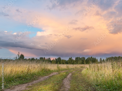 Fototapeta Naklejka Na Ścianę i Meble -  Road runs through a field of tall grass