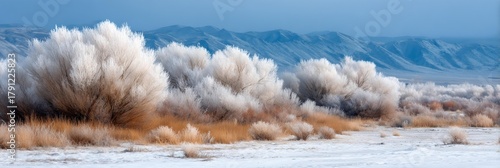 Snowy landscape with a few trees