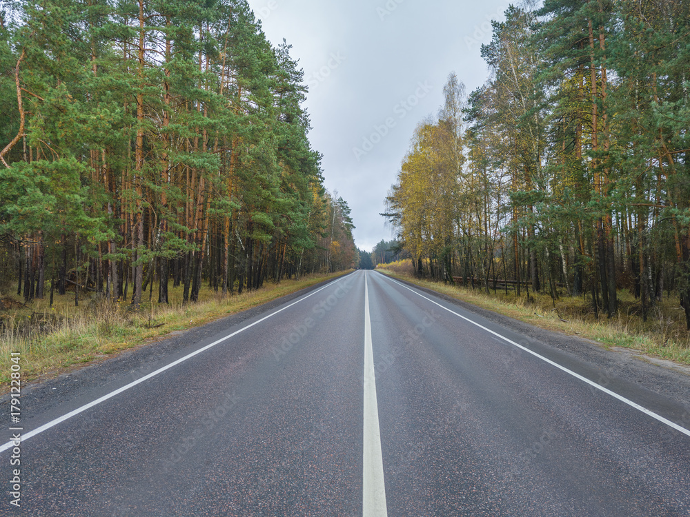 Fototapeta premium Road with trees on both sides and a white line down the middle