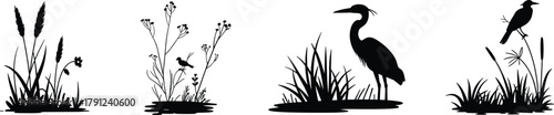 Silhouettes of birds and plants in natural settings, wetland and grassland wildlife illustration for nature, biodiversity and habitat themes