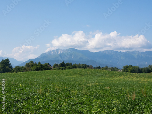 Udinese, Italy - July 29th 2024: View over agricultural fields and forests towards the Southern Alps