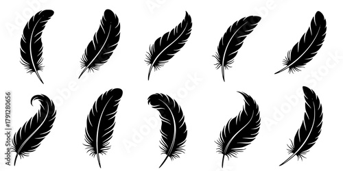 Elegant minimalist black fluffy contour feather style flat logo icon tattoo stock design vector silhouette illustration.