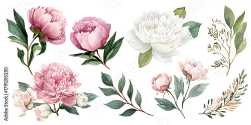 Delicate watercolor peonies and greenery arrangement for elegant floral designs