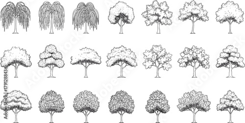 Hand-drawn tree silhouettes, botanical illustration set, deciduous foliage icons, park and garden landscape elements, black ink