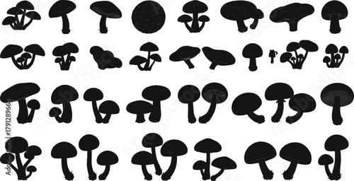 Mushroom silhouettes, edible and wild fungi icons set, forest mushroom illustration, toadstool collection, botanical fungus graphics, 