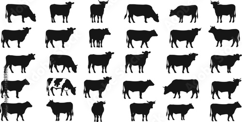 Farm cow silhouettes, cattle herd icons set, dairy and beef livestock illustration, pasture animal graphics, black vector, agriculture design, ranch theme, minimal style, bovine shapes, rural elements