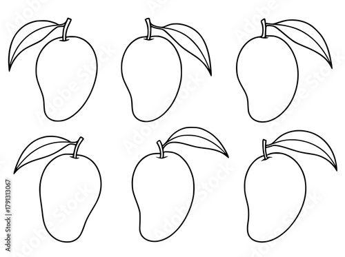Vector illustration, 6 mangoes, outline version