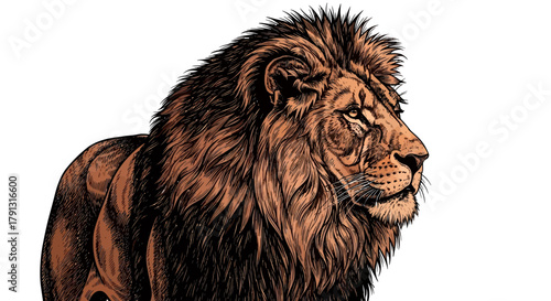 A detailed illustration of a majestic lion in profile, showcasing its mane.