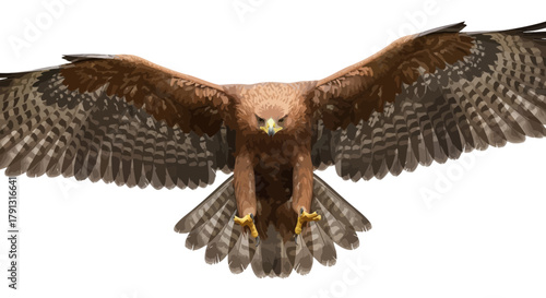 A brown eagle soars with wings spread wide, talons extended, against a plain white background.
