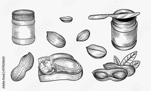 Peanut butter illustration.Hand drawn sketch converted to vector