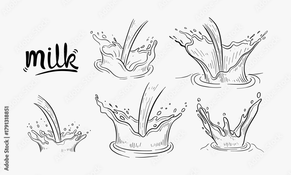 Fototapeta premium Set of Hand drawn sketch water or milk splash crown vector illustration