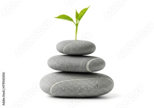 Stacked smooth stones support a vibrant green sprout against a white background