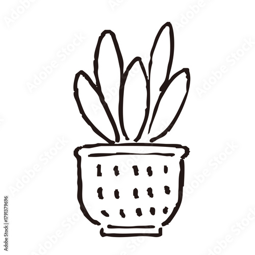 観葉植物のイラスト