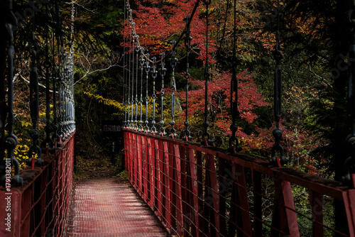 紅葉のべふ峡（別府峡谷の赤い吊橋）