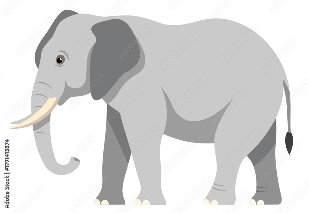 Fototapeta premium Gray Elephant Vector Illustration