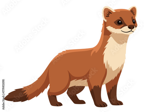 Weasel Flat vector Illustration