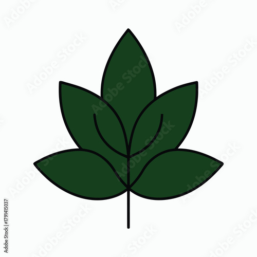 Stylized green leaf vector illustration for nature concepts
