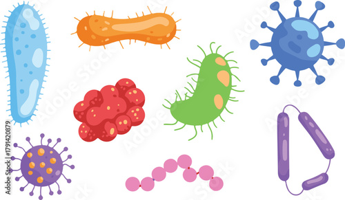 set of bacteria and microscope
