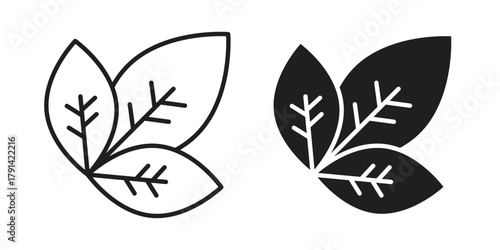 Basil icon. Vector linear icons. simple flat icons