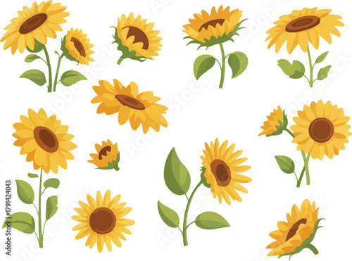 collection of sunflowers