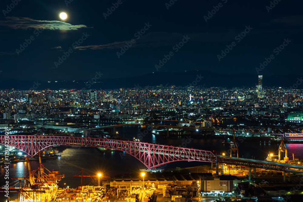 Fototapeta premium 日本の都市風景 大阪夜景 さきしまコスモタワーからの眺望
