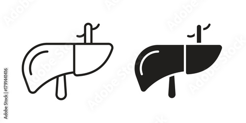 Liver icon. Vector linear icons. simple flat icons