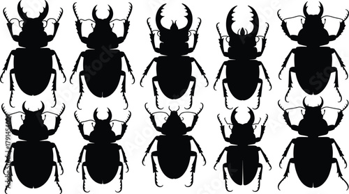 Stag beetle silhouette collection, insect vector illustration set with different horn shapes, entomology design for nature, wildlife, and educational decoration purposes