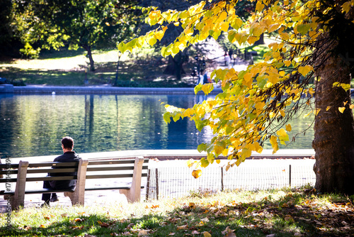 man sitting on bench in Central Park during autumn in New York City