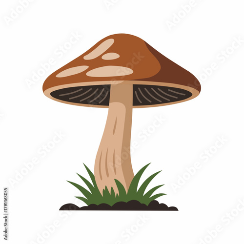 Brown Mushroom Illustration with Grass Vector Isolated on White