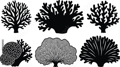 Sea coral silhouettes set, marine reef plants vector, underwater ocean flora icons, black botanical shapes, aquarium decoration elements, tropical nature illustration
