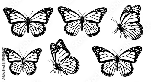 Six black and white butterfly illustrations are displayed in various poses, including front, side, and angled views, against a white background.