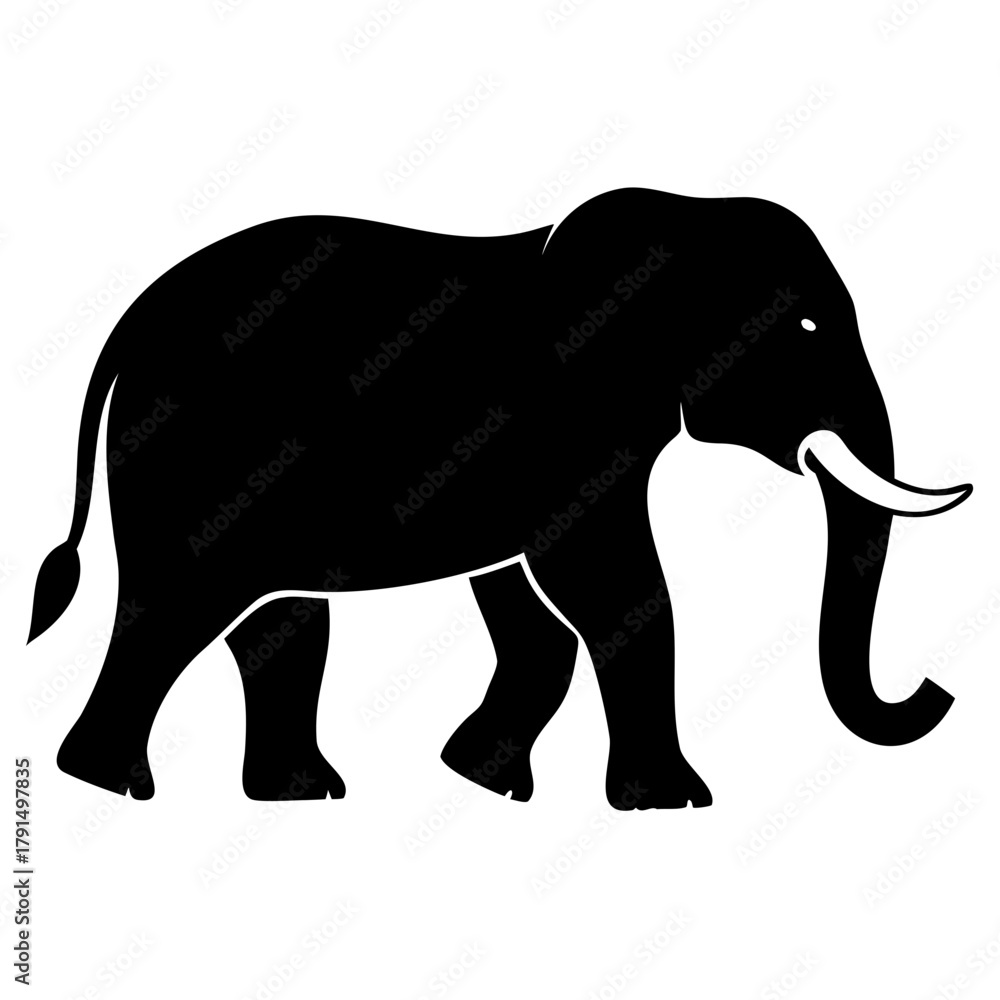 Fototapeta premium elephant silhouette
