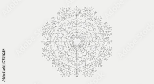 Intricate Geometric Mandala Design with Floral Motifs.